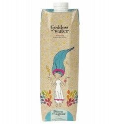 BRICK DIOSA DEL AGUA ORIGINAL 1000ML - SIN MARCAJE