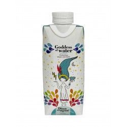 BRICK DIOSA DEL AGUA ORIGINAL 330ML - SIN MARCAJE